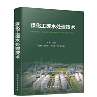 計(jì)算機(jī)軟件技術(shù)開(kāi)發(fā) 從概念到實(shí)踐的全面解析
